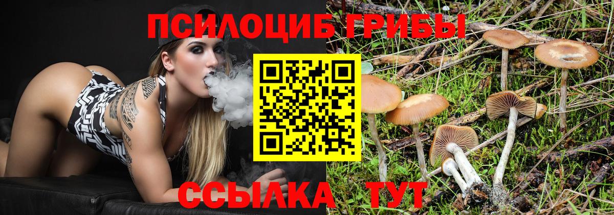 Псилоцибиновые грибы Psilocybe  Вход с VPN  Галлюциногенные грибы Magic Shrooms  Ялуторовск 